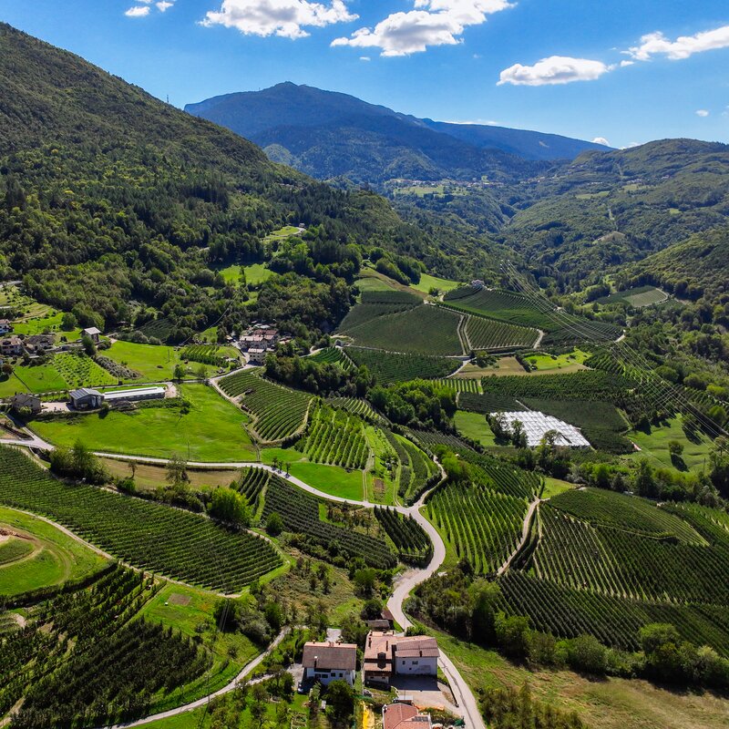 Aziende agricole